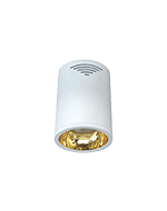 Decorative LED lights
